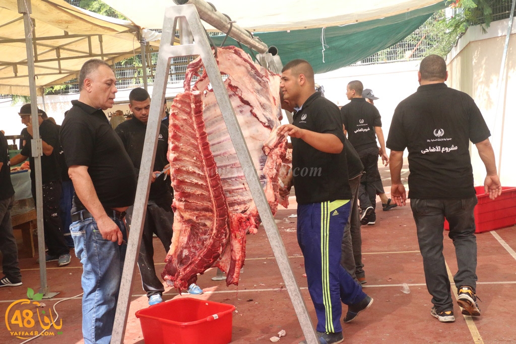 ada7y forthei (71).JPG